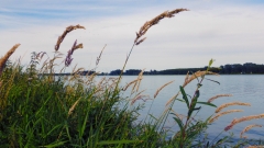 2015-06-28 Kanu Heike 059