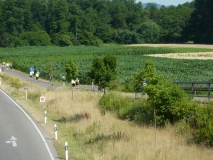 20150711_100646 Katja Scheppe 002