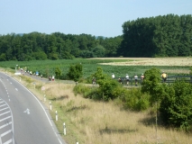 20150711_100713 Katja Scheppe 042