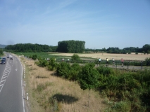 20150711_100834 Michael Merget 021