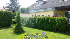 20150711_114315 Jens Brunner 026