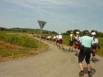 20150711_120919 Katja Scheppe 035