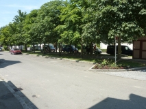 20150711_150355 Katja Scheppe 048