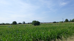 20150712_110037 Jens Brunner 075