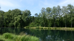 20150712_124722 Jens Brunner 087